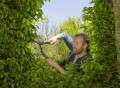 Nożyce Gardena naturecut do żywopłotu
