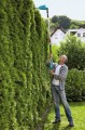 Nożyce Gardena akumulatorowe do żywopłotu THS 18V