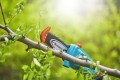 Pilarka akumulatorowa Gardena TCS na wysięgniku