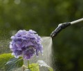 Opryskiwacz ciśnieniowy Gardena 5l.