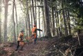Spodnie stihl dynamic.jpg