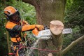 stihl msa 220 tco b.jpg