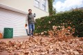 stihl bga 50 c.jpg