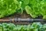 OK-844978_HighResPng 1.webp