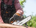 stihl ms 231 a.jpg