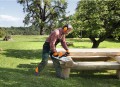 stihl ms 231.jpg