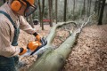 stihl pilarka 391.jpg