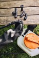 SGA 60 zestaw b.jpg