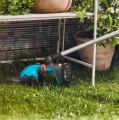 Gardena nożyce do trawy e.jpg