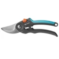TR-351184.webp