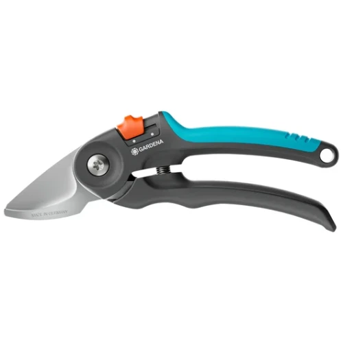 AI-423994.webp