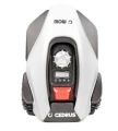 cedrus robot 6+ g.jpg