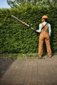 stihl HLa 40 g.jpg