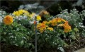 Gardena zawór regulujący micro drip system