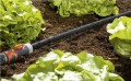 Gardena wąż nawadniający do precyzyjnego nawadniania rzędów roślin 15m