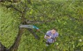 Gardena trzonek teleskopowy 160 - 290 cm