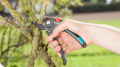 Gardena sekator ogrodowy 8903-20