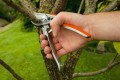 Sekator ogrodowy premium Gardena BP 50
