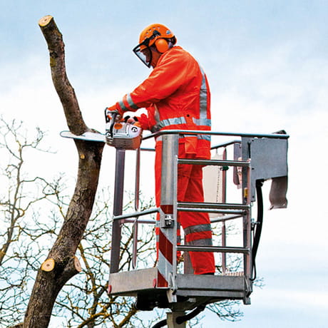 Stihl pilarka arborystyczna Ms 201
