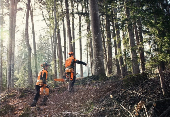 Stihl spodnie dynamic