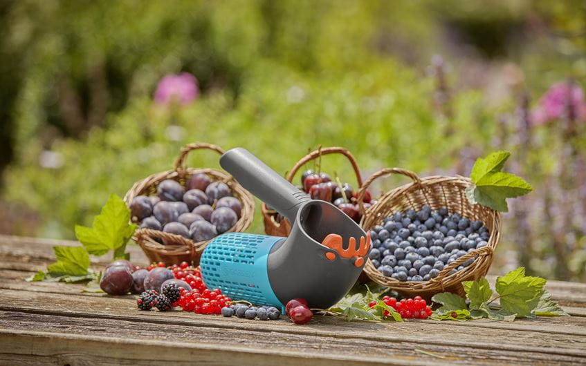 Gardena zrywaczka