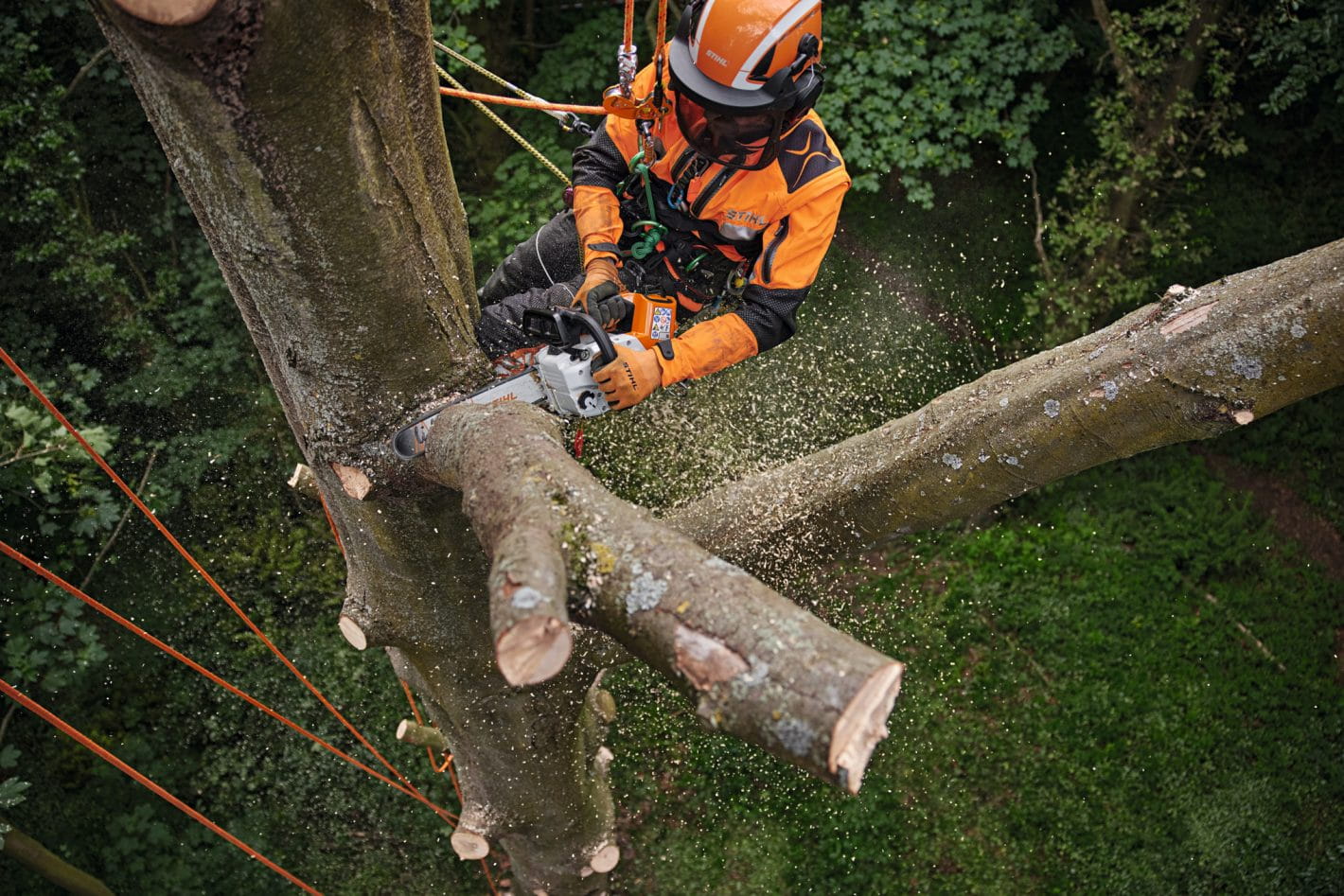 Stihl pilarka akumulatorowa msa 220
